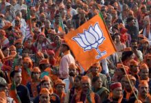 bjp53 2 1