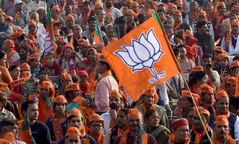 bjp53 2 1