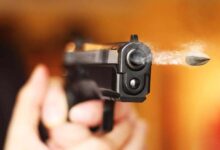 gun 42 1