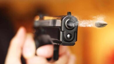 gun 42 1