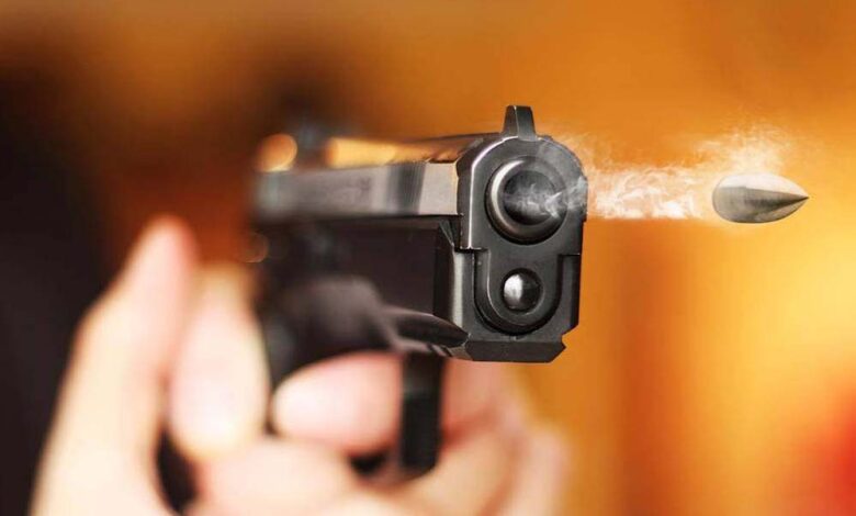 gun 42 1