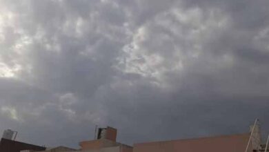 mosam 5