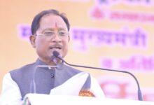 6e2d1216 792d 4f8b b8f1 b758d2db0d55