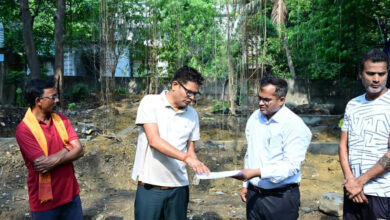 ggn